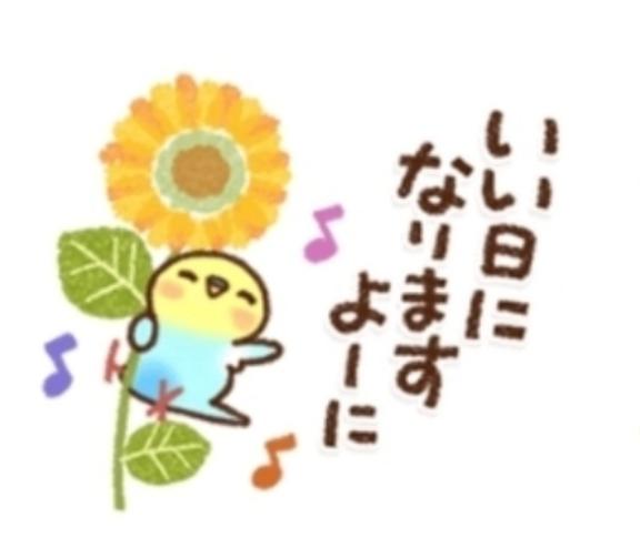 12:00〜20:00♥️