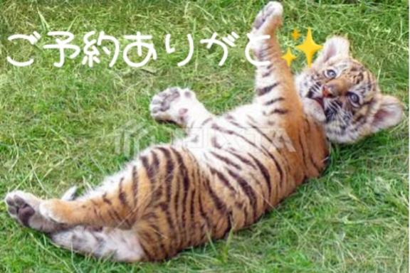 とらご予約感謝♡