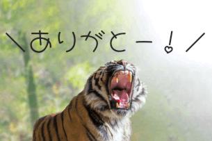 ありがとう♡