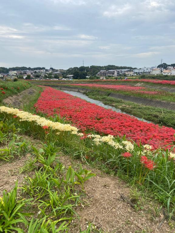 ななみ寒くなったね